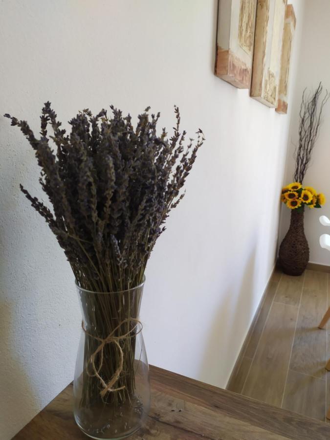 Apartamentos Xert Escapadas En Castellon Cerca De Morella Y Peniscola Chert Sant Mateu Eksteriør bilde